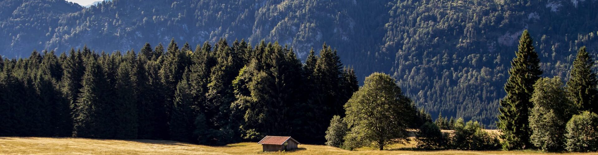 ferienhaus-heuser-3408